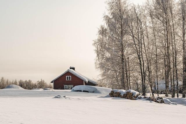 Exploring Levi, Finland: Top Educational Travel Tips & Fascinating Facts for University and History Enthusiasts