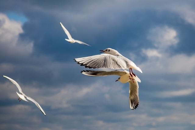 Exploring Burgas, Bulgaria: Top Educational Travel Tips & Fascinating Facts for University and History Enthusiasts