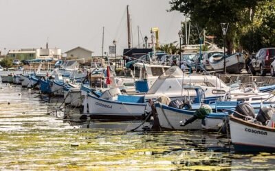 Discover Sozopol: Top Educational Travel Tips & Fascinating University and School Facts in Bulgaria’s Historic Seaside Town